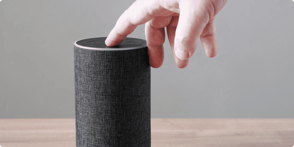 Éléments à considérer avant adoption